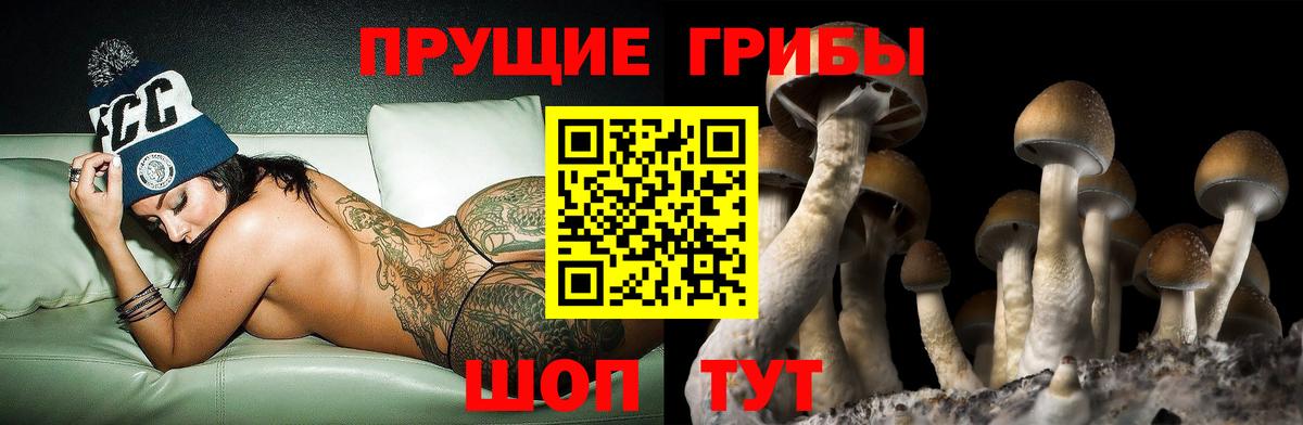 Бугуруслан  Галлюциногенные грибы мухоморы  Псилоцибиновые грибы мицелий  где продают   Вход с VPN 